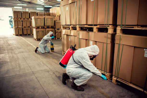 Wasp Removal Services in Bellwood, PA