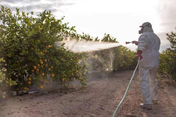 Best Commercial Pest Control Services  in Bellwood, PA