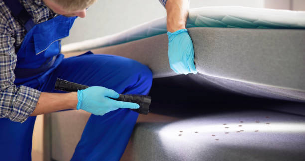 Best Pest Control Near Me  in Bellwood, PA