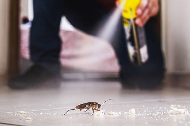 Professional Pest Control in Bellwood, PA